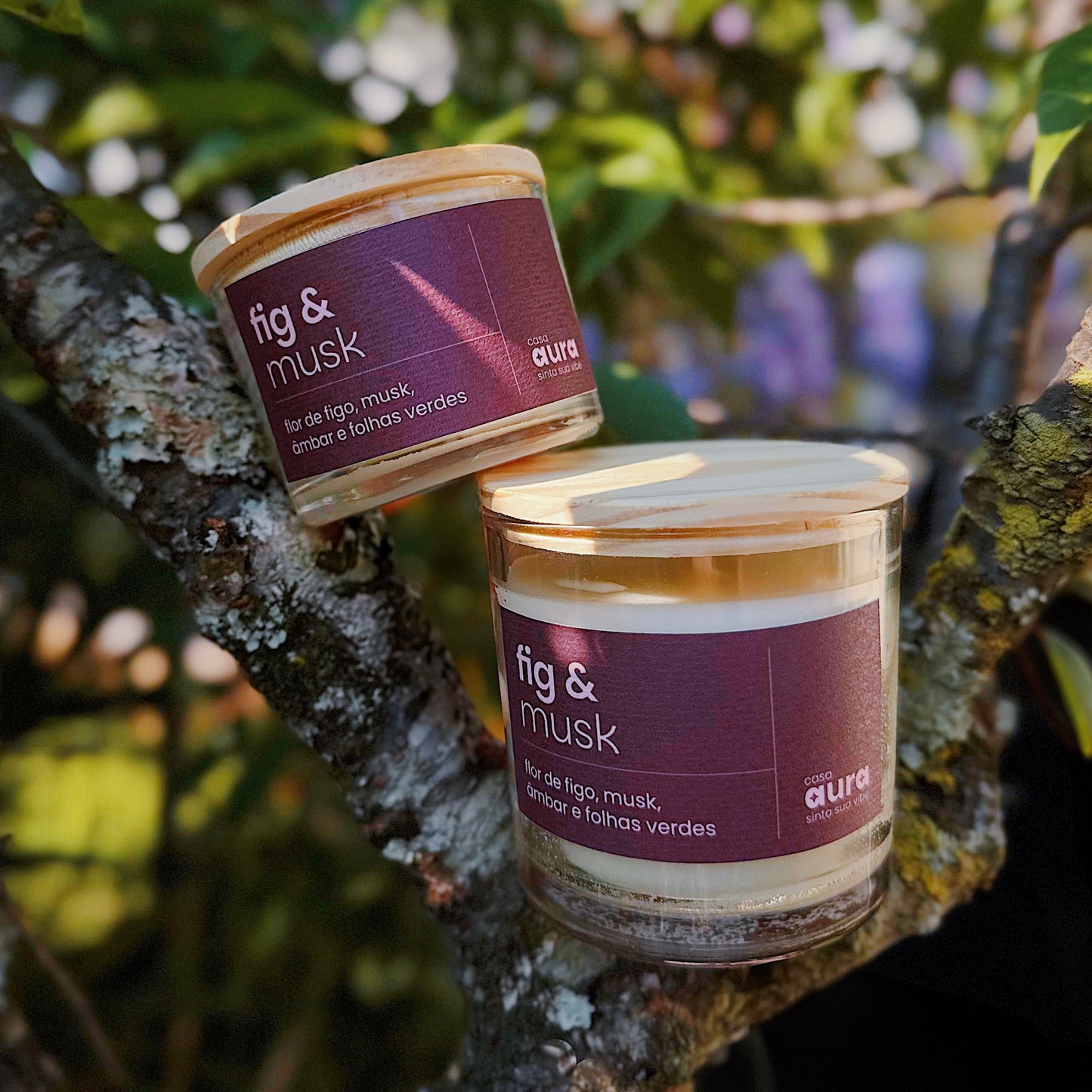 Vela Aromática Fig & Musk | Casa Aura