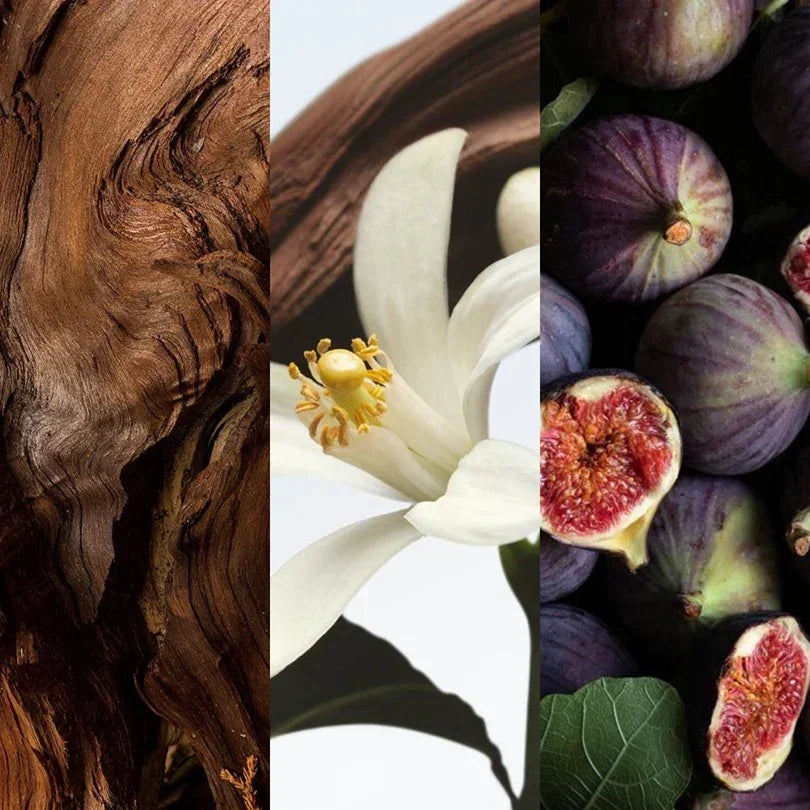 Spray Aromatizador Fig & Musk | Casa Aura - Sua Casa Aura