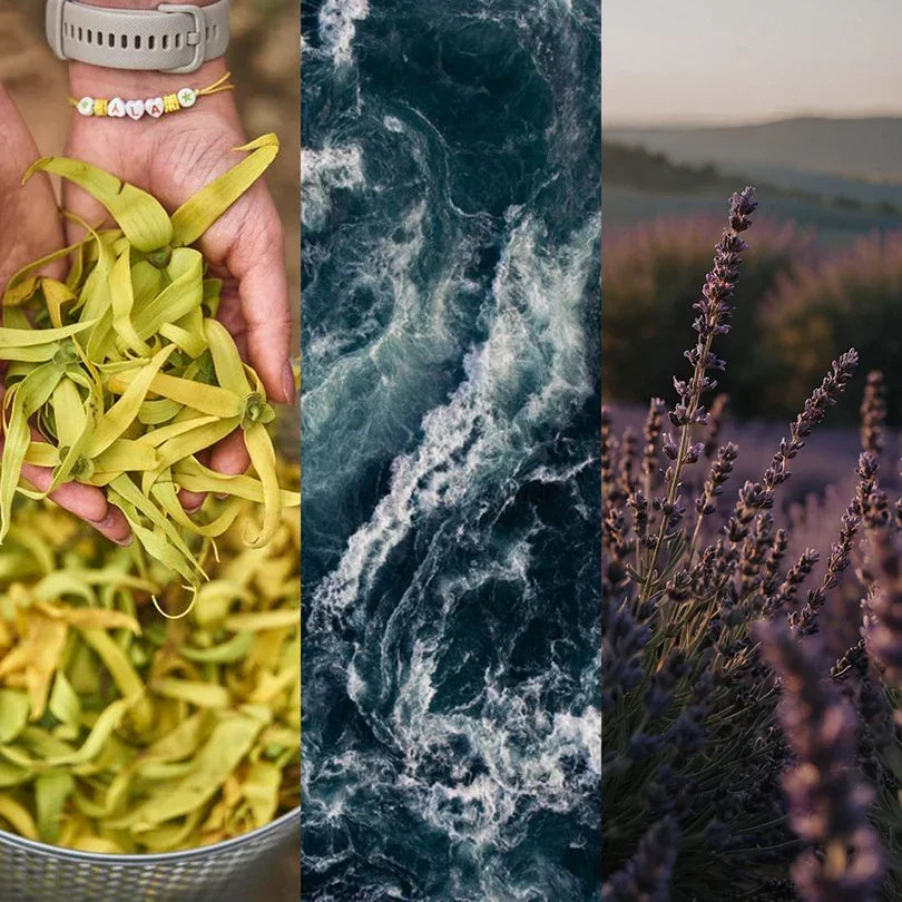 Spray Aromatizador Ocean Dive | Casa Aura